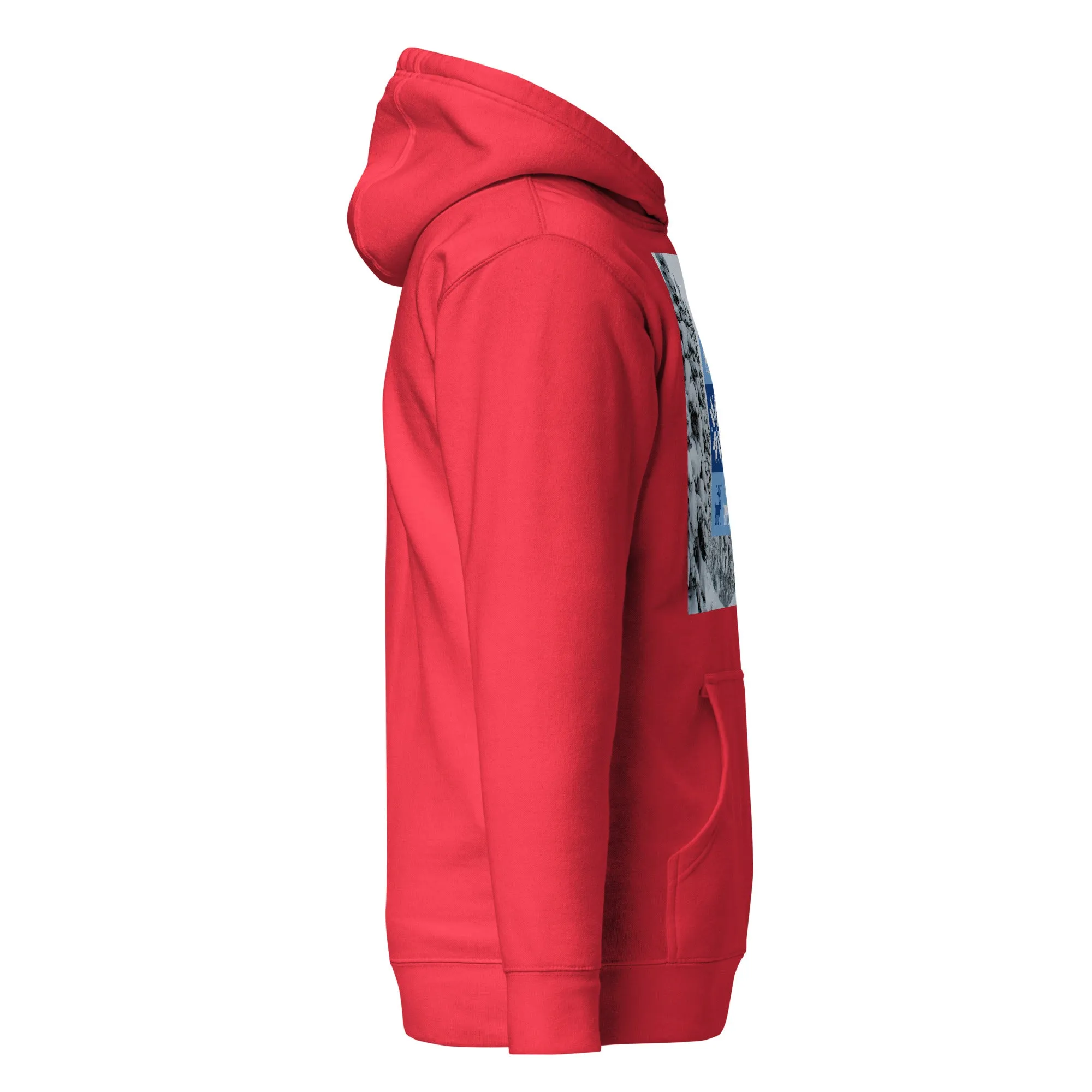 Christmas Hoodie (Glamourange Christmas Gifts - Hoodies for Christmas 0072)