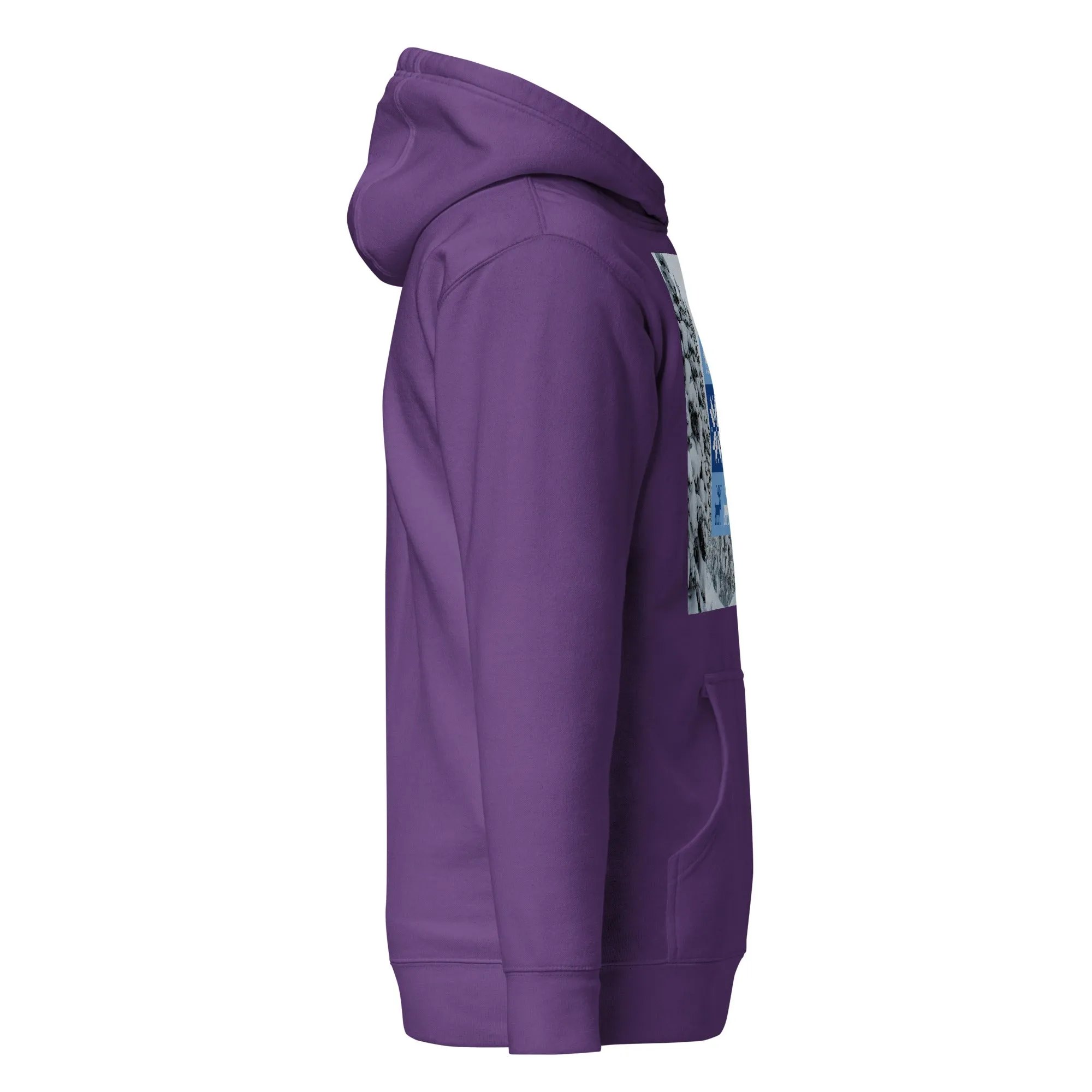 Christmas Hoodie (Glamourange Christmas Gifts - Hoodies for Christmas 0072)