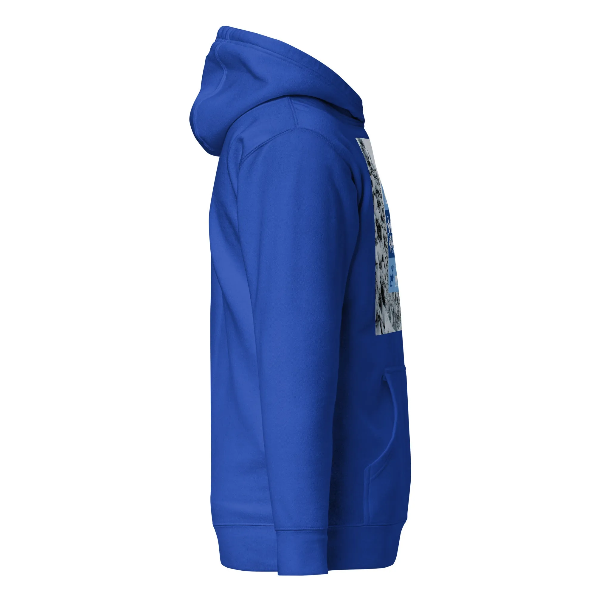 Christmas Hoodie (Glamourange Christmas Gifts - Hoodies for Christmas 0072)
