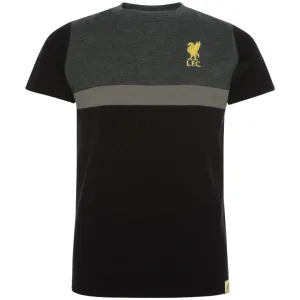 Liverpool FC Panel T Shirt - Junior