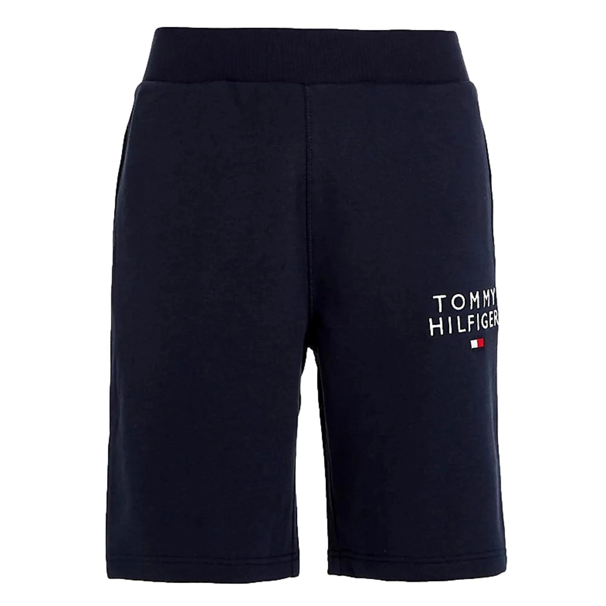 Tommy Hilfiger Men's Embroidered Logo Shorts - Desert Sky