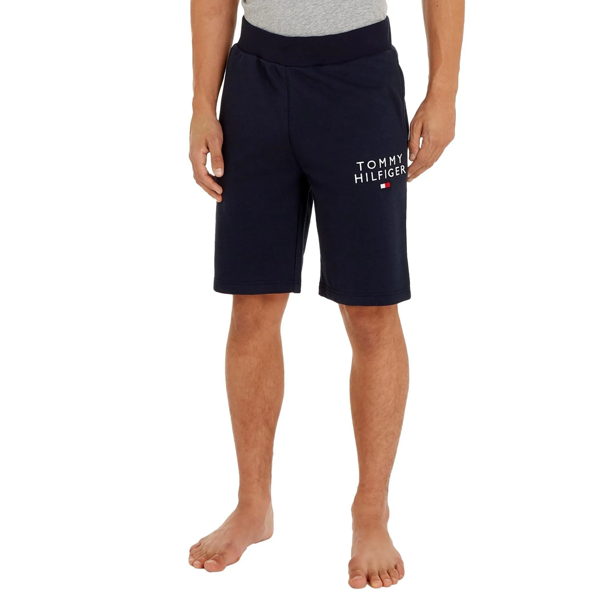Tommy Hilfiger Men's Embroidered Logo Shorts - Desert Sky